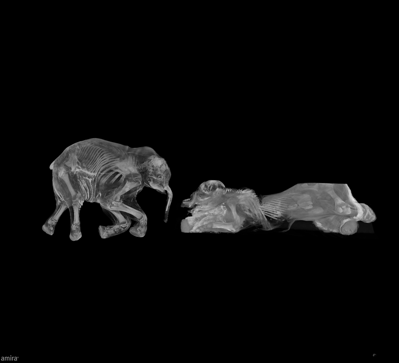 Illustration for article titled First Detailed Look Inside the Childhood of a Lost Species